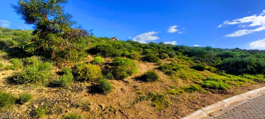 0 Bedroom Property for Sale in St Helena Views Western Cape